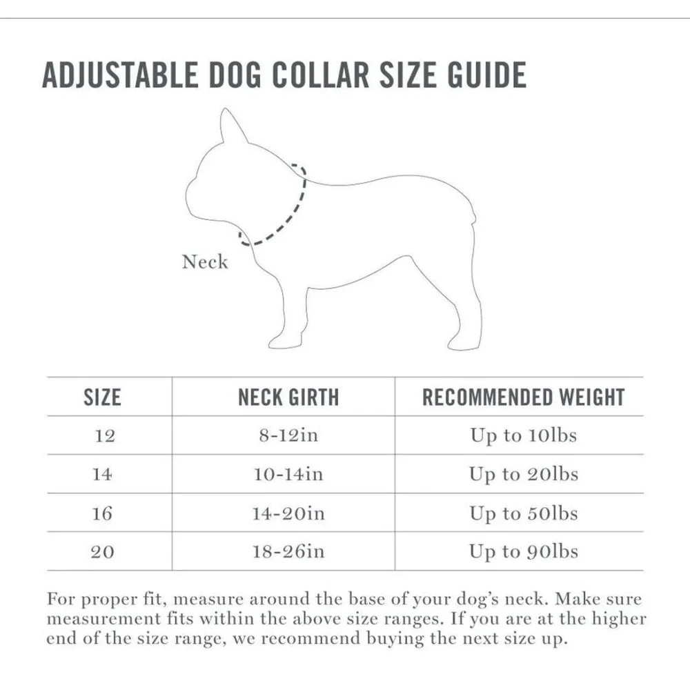 Martha‎ Stewart Gray & Coral Adjustable Nylon Large Dog Collar Size 20 (18-26in)
